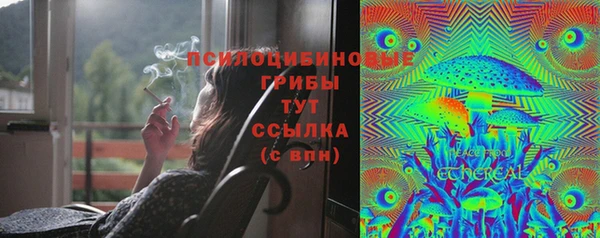 дмт Магас