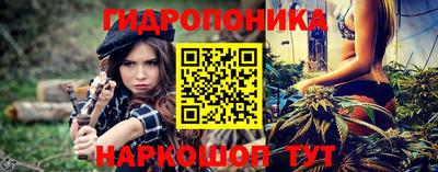 крисы Заводоуковск