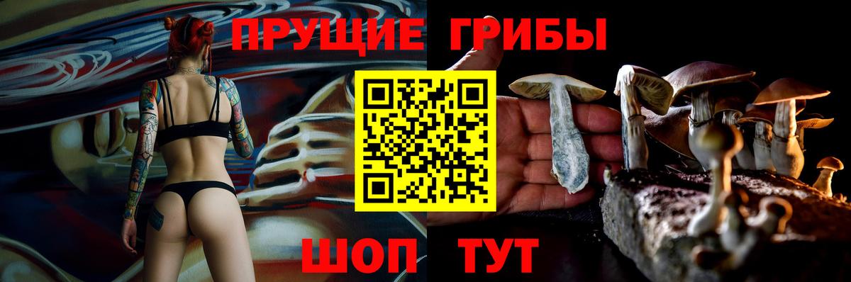 Галлюциногенные грибы Psilocybine cubensis Сызрань
